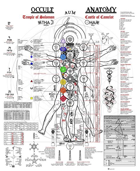 Occult anatomy poster